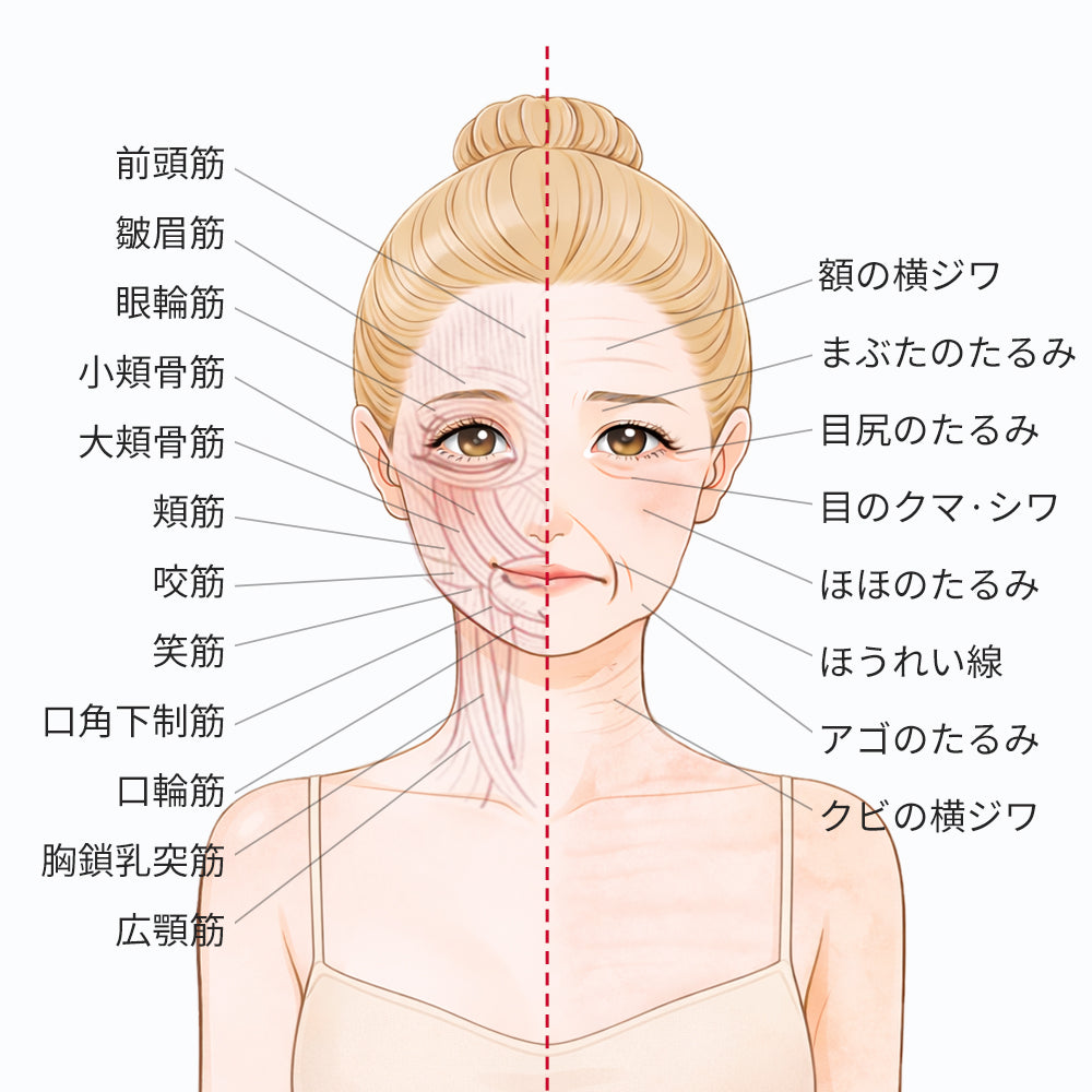自宅でできるフェイスラインケア|たるみ予防の基本ステップ