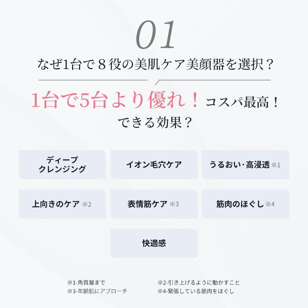多機能温冷美顔器 1台8役 定番