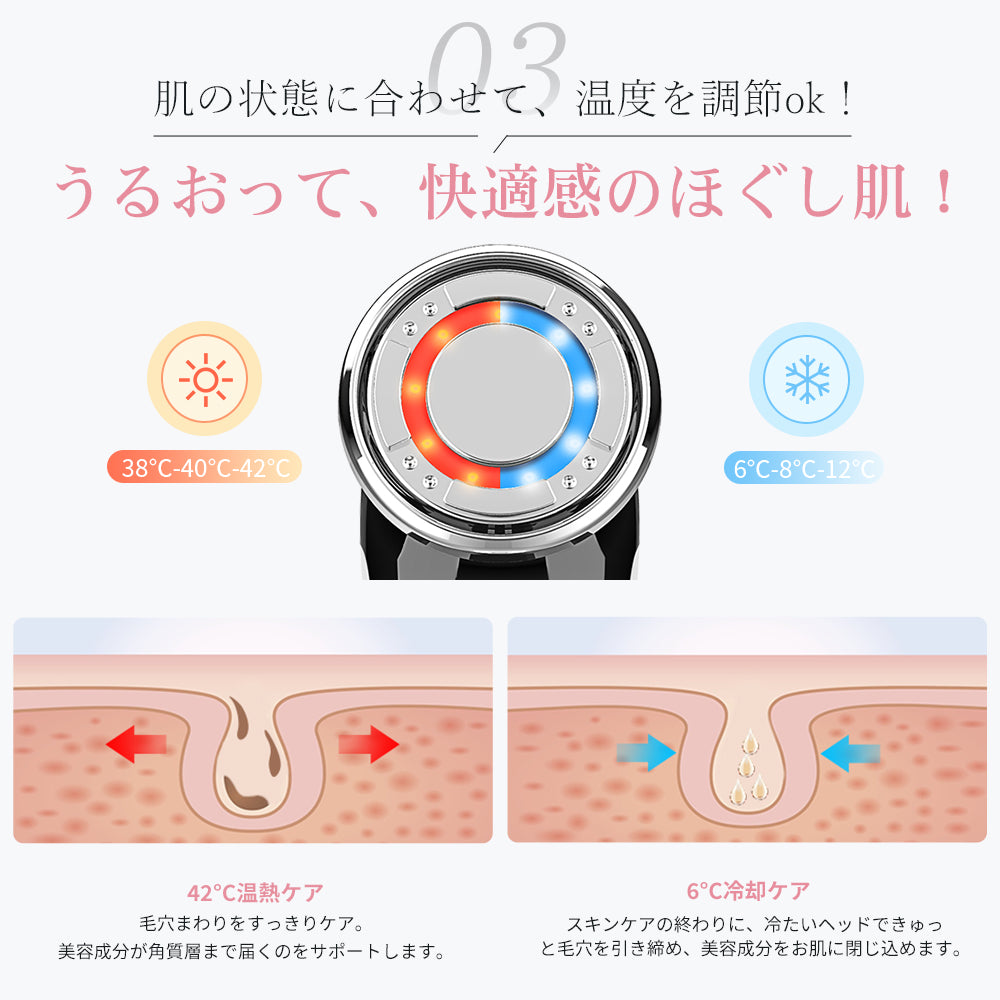 ANLAN 多機能温冷美顔器 世界中累計販売60万台 アンラン美顔器 ems振動